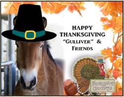 Happy Thanksgiving!