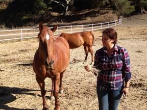Return to Freedom and AWHPC Founder Neda DeMayo with Ginger, a horse who was literally rescued off the slaughterhouse floor when the last U.S. horse slaughter plant in closed in Texas in 2007.