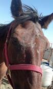 IMG_20130530_155341_731