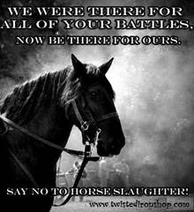 Overturn the Legalization of Horse Slaughter