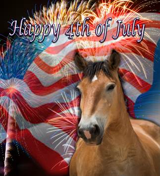 Happy 4th of July!