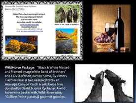 http://www.equinevoices.org/images/auction/wild-horse-package-3.jpg